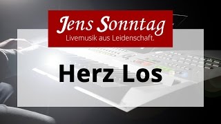 Herz Los  Wincent Weiss  InstrumentalCover [upl. by Ursi]