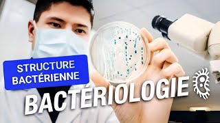 MICROBIOLOGIE🦠 STRUCTURE BACTÉRIENNE  3ÈME MÉD🥼  4ÈME PHARMA💊 2ÈME CHIRDENT🦷 [upl. by Morlee206]