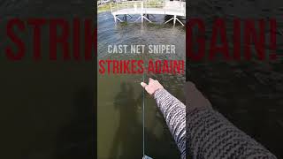 Testing a 25 Temu Cast net off Fishing Pier Quickly Released back into Lake castnetfishing fish [upl. by Mccourt]