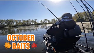 Fall Fishing Lures To Catch Bass NOW Illinois [upl. by Alvin]