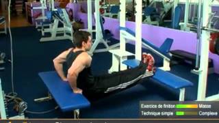 Top 5 des exercices de triceps muscler les triceps par allmusculation [upl. by Edualc879]