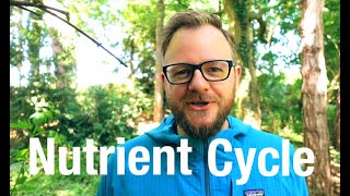 Explaining most of the Nutrient Cycle [upl. by Lothario]