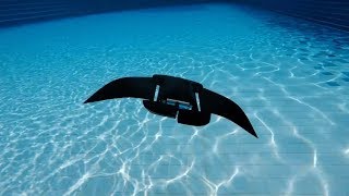 Manta ray robot offers alternative to existing autonomous underwater vehicles [upl. by Yrelle738]