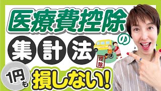 【医療費控除のための集計方法】1円も損しない！医療費集計フォームで取りこぼししない！ by 女性税理士 [upl. by Kammerer]