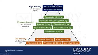 The Role of NonStatin Therapies in Optimal Cholesterol Management [upl. by Hullda]