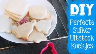 HET ULTIEME KOEKJES RECEPT die niet uitloopt DIYVEMBER dag 12 [upl. by Sylado]