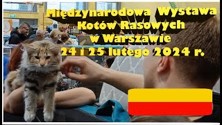 Międzynarodowa Wystawa Kotów Rasowych w Warszawie LUTY 2024 [upl. by Ldnek]