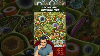 Secondary METABOLITES Functions  Biomolecules  class 11 Biology neet biology science ncert [upl. by Derrej881]