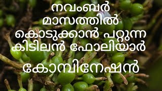 നവംബർ മാസത്തിൽ കൊടുക്കാൻപറ്റിയ ഒരു കിടിലൻ ഫോലിയാർ കോമ്പോbest foliar combo to be applied in November [upl. by Haleigh]