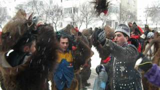 Trupa de urşi din localitatea Poduri judeţul Bacău  video Olimpia Filip [upl. by Chobot]