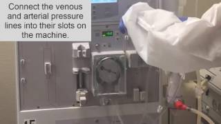 How to setup a dialysis Machine part II Hemodialysis Training [upl. by Carlee769]