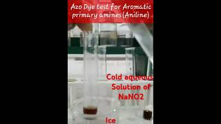 Azo Dye test for aromatic primary amine coupling reaction class 12 chemistry experiment [upl. by Lawford]