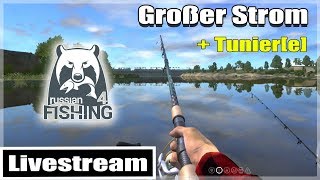 Russian Fishing 4 ★ Der Große Strom mit Brachsen Tunier  RF4 Livestream Deutsch [upl. by Kiley]