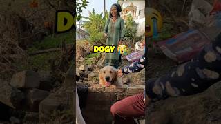 Cute Adventure 🥺 Dogvlog shorts vlog vlogger [upl. by Joel]