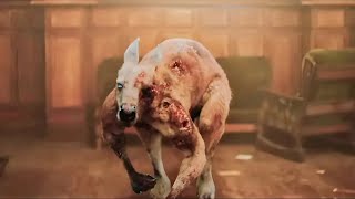 Viral Outbreak Kangaroo Turns ZOMBIE Town Falls in HOURS Shocking Footage [upl. by Ihcekn589]