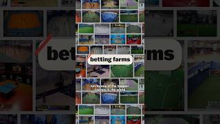 Inside the world of “Betting Farms” [upl. by Breger]