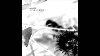 Andrew Lahiff  Illusion Fields Full Album [upl. by Nemrac]