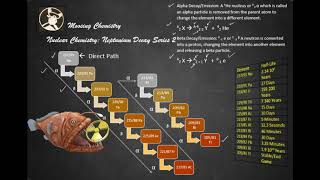 Nuclear Chemistry Neptunium Decay Series 2 [upl. by Koy]