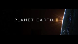 Planet Earth II [upl. by Adimra524]