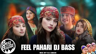 FEEL PAHARI DJ BASS  NONSTOP 🎧 DJ AMAN  PAHARI NATI  NEW PAHARI SONG 2024 himachalibhailog [upl. by Alleusnoc]