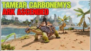 como TAMEAR una CARBONEMYS en ARK ASCENDED  en 1 minuto  tamear CARBONEMYS ASA 🐢 [upl. by Vod]