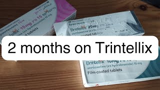 2 months on Trintellix vortioxetine  my experience so far [upl. by Acimehs]