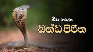 ඛන්ධ පිරිත  Kanda Piritha [upl. by Mallon]