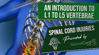 Spinal Cord Injuries L1 L2 L3 L4 amp L5 Vertebrae Explained Symptoms Recovery Causes Prognosis [upl. by Blanchette721]