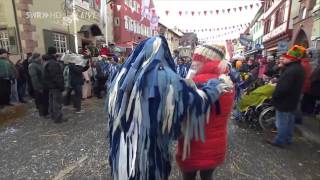 Peterstaler Narrenzunft beim Umzug in Oberkirch 2015 [upl. by Yanffit96]