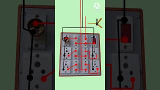 Electrical board wiring socket fan shorts shortsfeed shortvideo youtubeshorts [upl. by Adnovad]