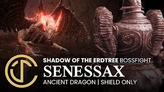 ELDEN RING Shadow of the Erdtree  Ancient Dragon Senessax Shield only NG [upl. by Haek]