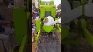 मुरघास silage silagemachine चारा मूरघास agriculture seeds advantaseeds [upl. by Toolis]