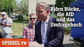 Björn Höcke die AfD und das Umfragehoch  SPIEGEL TV [upl. by Enreval]