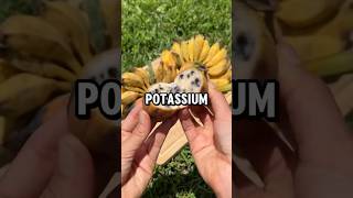 Potassium fruit potassium fruit shorts healthcaretips motivation facts [upl. by Noivad]