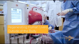 Regenerating Human Livers Outside of the Body [upl. by Clovis]