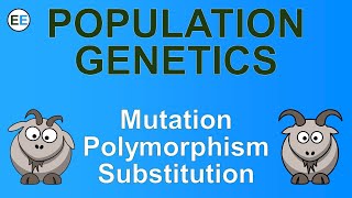 Mutation polymorphism and substitution  EvolutionExamples [upl. by Anavlis]