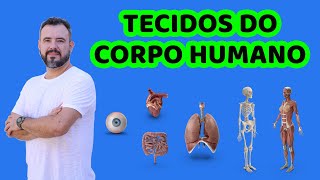 Os Tecidos do Corpo Humano  Ensino Fundamental [upl. by Kimmy]