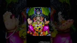 Malabar hill cha raja [upl. by Sherl]