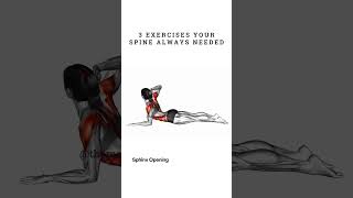 3 SpineSaving Exercises Youre NOT Doing  The Mobility Manual [upl. by Suhail]