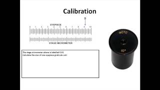 Measurement Theory [upl. by Donna293]