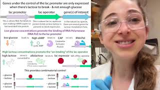 Autoinduction for recombinant protein overexpression [upl. by Katheryn20]