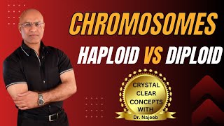 Basics of Chromatids  Haploid vs Diploid Chromosomes🦠 [upl. by Graves518]