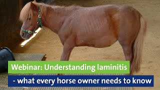 Webinar Understanding laminitis  what every horse owner needs to know [upl. by Lehacim]