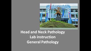 Head and neck pathology [upl. by Ifar]