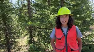 2023 CSFS Alamosa Field Office Forestry Internship Program – Maddy Minard [upl. by Aynnat]