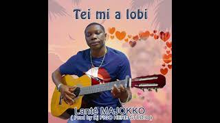 Lanté MAJOKKO  Tei mi a lobi Audio Officiel [upl. by Doniv187]