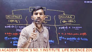 Centrosome centriolemicrobodies cytoskeleton Cell biology NEET part 9by TULCHHA RAM sir [upl. by Canada]