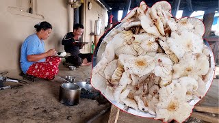 wild dung mushroom curry in our lunch  Bhumi sarmila cooking lunch [upl. by Trainer535]