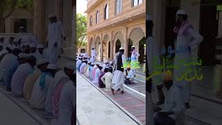 Madarsa Qasimul Uloom Chaniyu ki dhani Jawaharpura shortvidvo MDQasmi786 [upl. by Senn220]