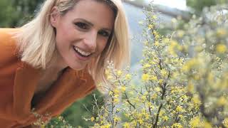 Viaggio in Ticino con Michelle Hunziker [upl. by Necila]